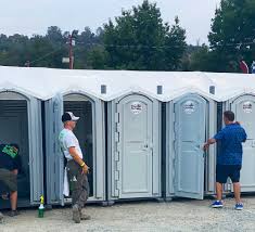 Types of Portable Toilets We Offer in Electra, TX